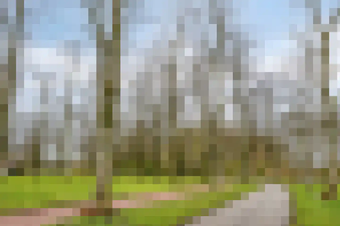 Isaak Gosseshof 12 1 Amsterdam thumbnail 27