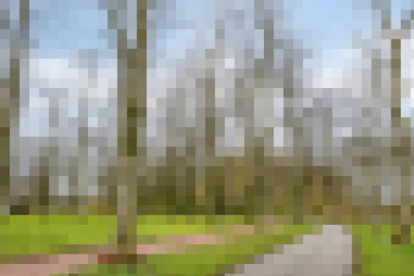 Isaak Gosseshof 12 2 Amsterdam thumbnail 27