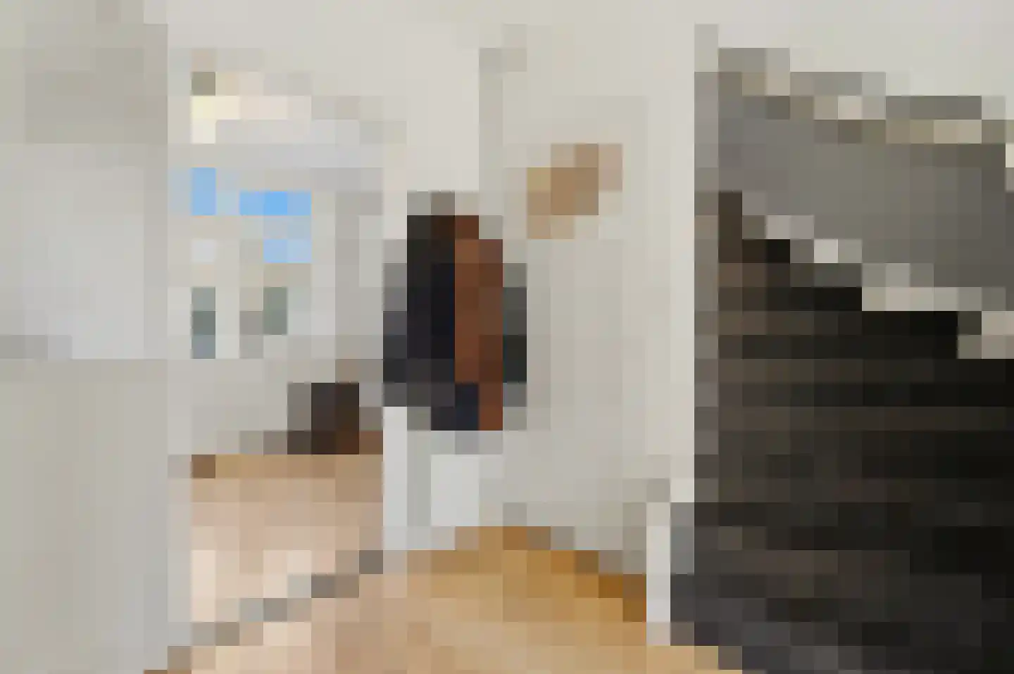 Isaäk Hoornbeekstraat 42 Delft thumbnail 12