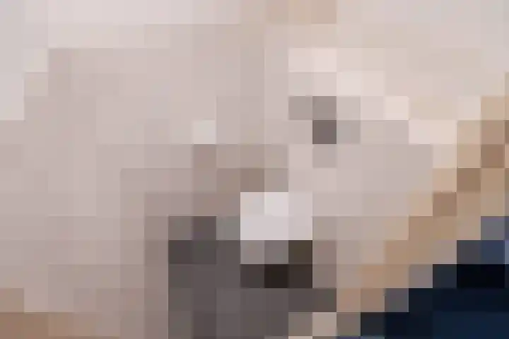 Isaäk Hoornbeekstraat 8 Delft thumbnail 8