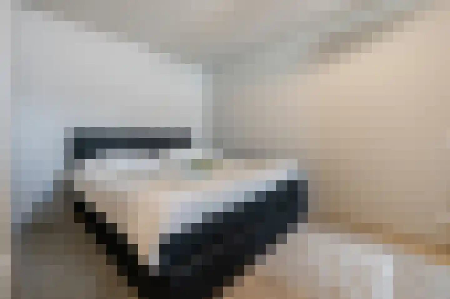 Isabella van Portugallaan 7 Den Haag thumbnail 33