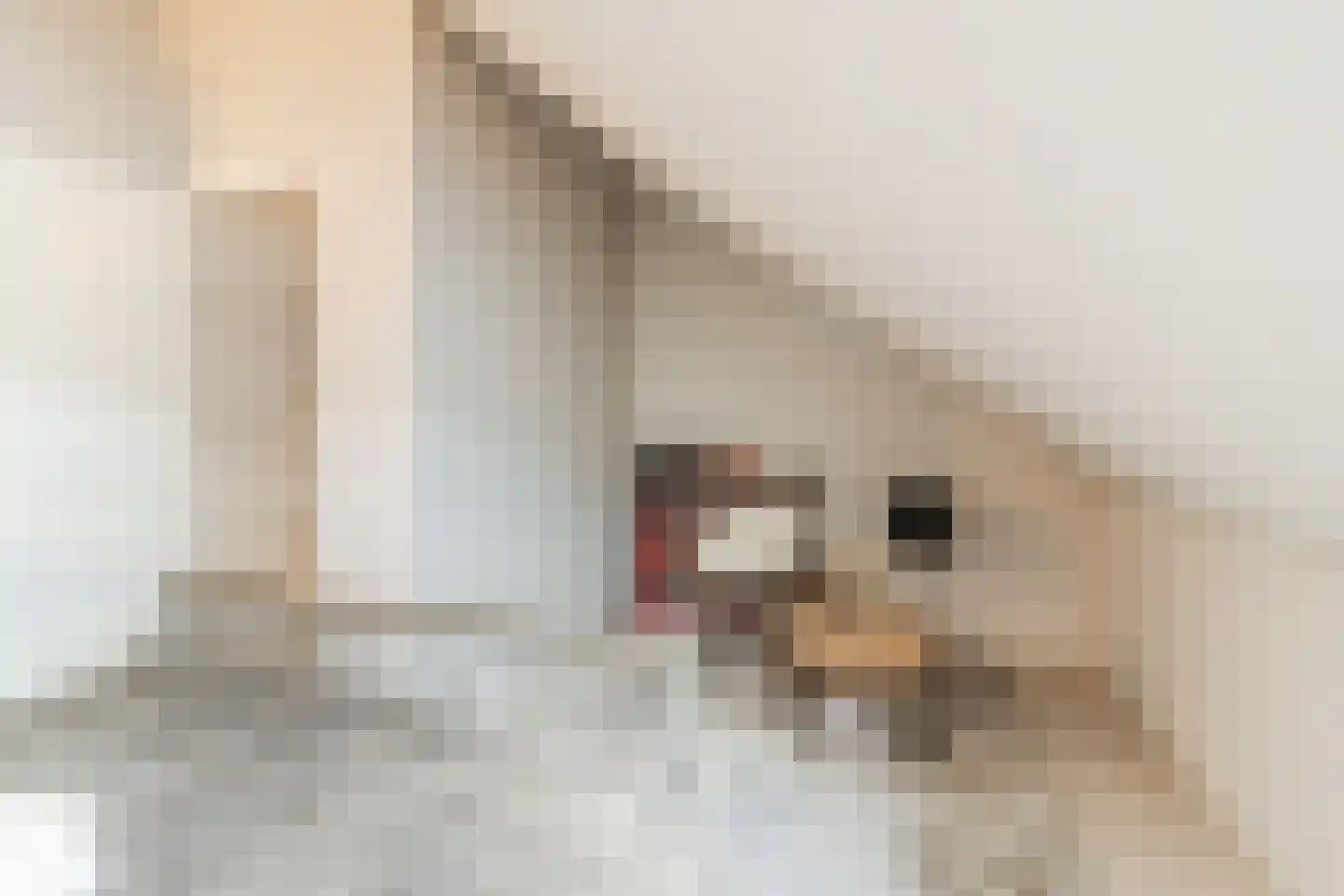 Isabella van Portugallaan 7 Den Haag thumbnail 51