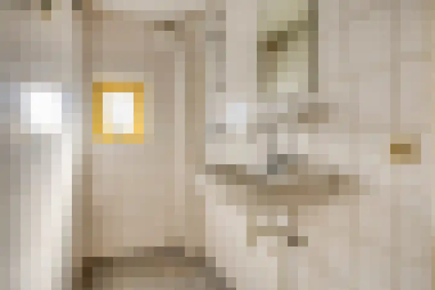 Isabella van Portugalstraat 1 Oss thumbnail 4