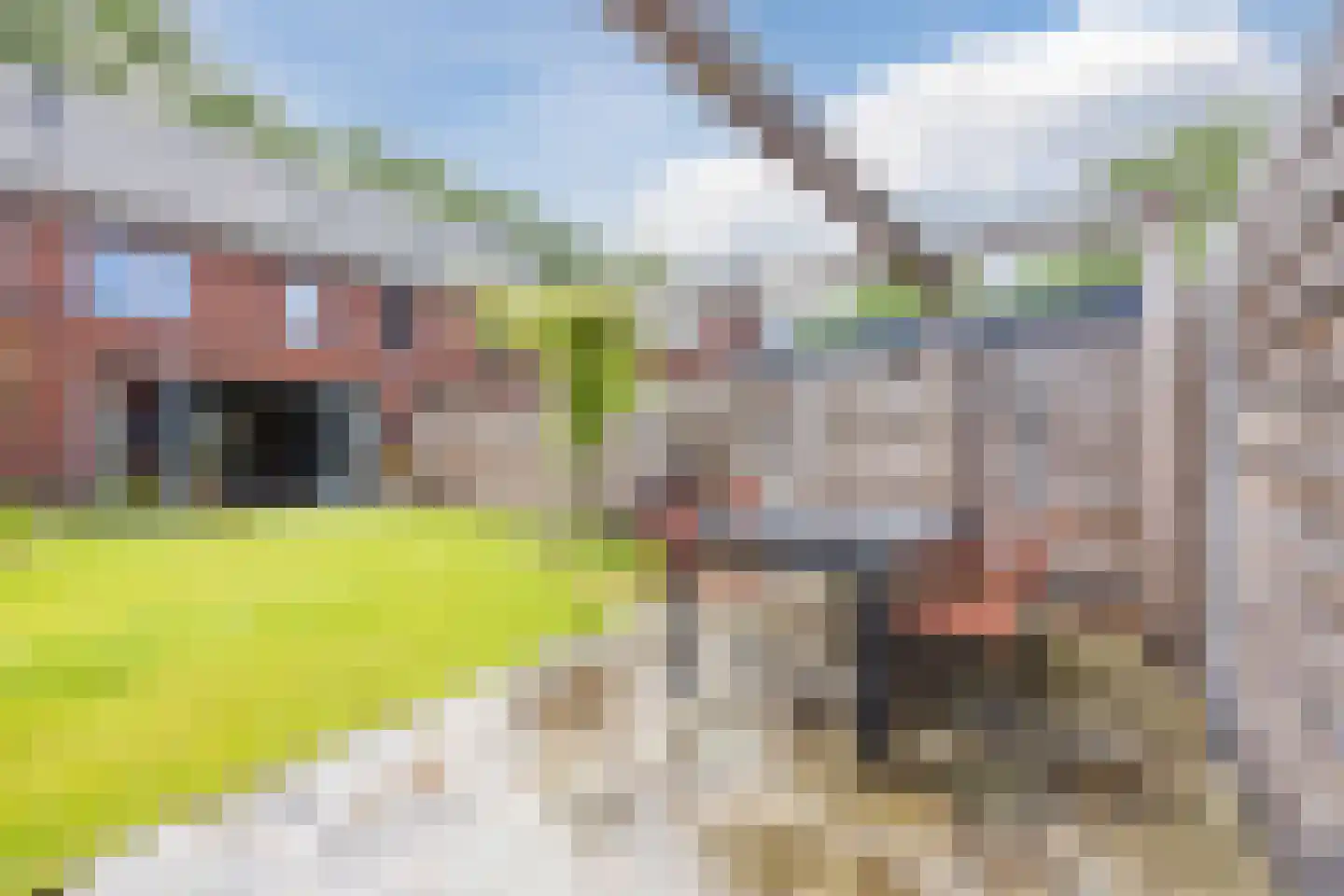 Isabella van Spanjestraat 3 Rijen thumbnail 27
