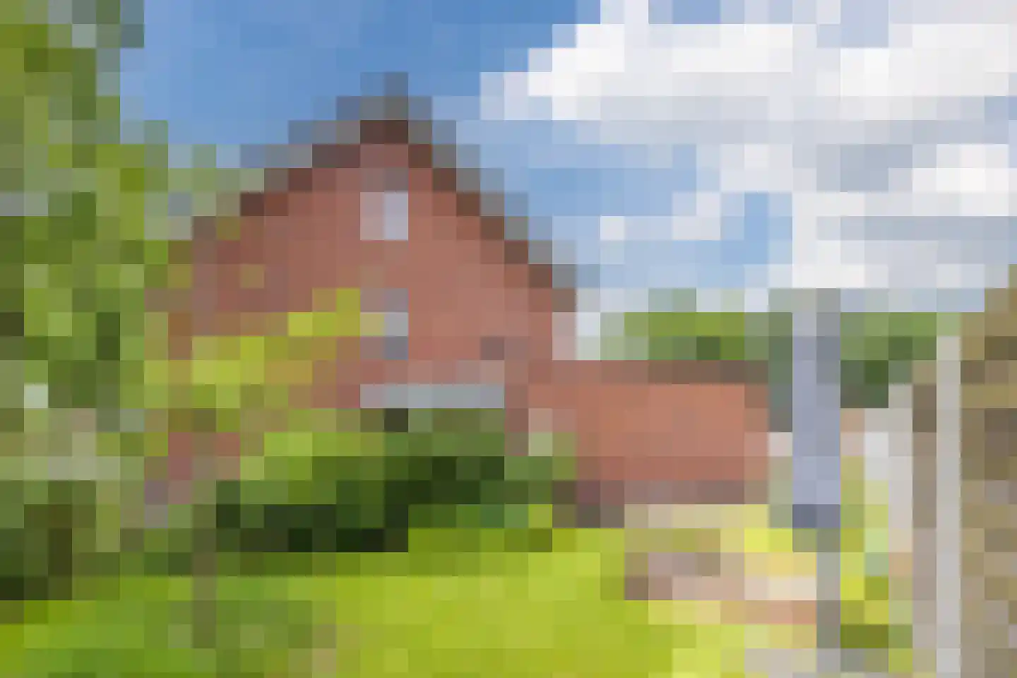 Isabella van Spanjestraat 3 Rijen thumbnail 34