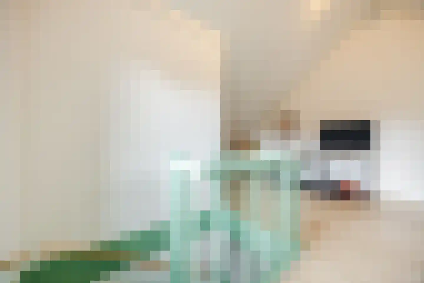 Isabella van Spanjestraat 3 Rijen thumbnail 53