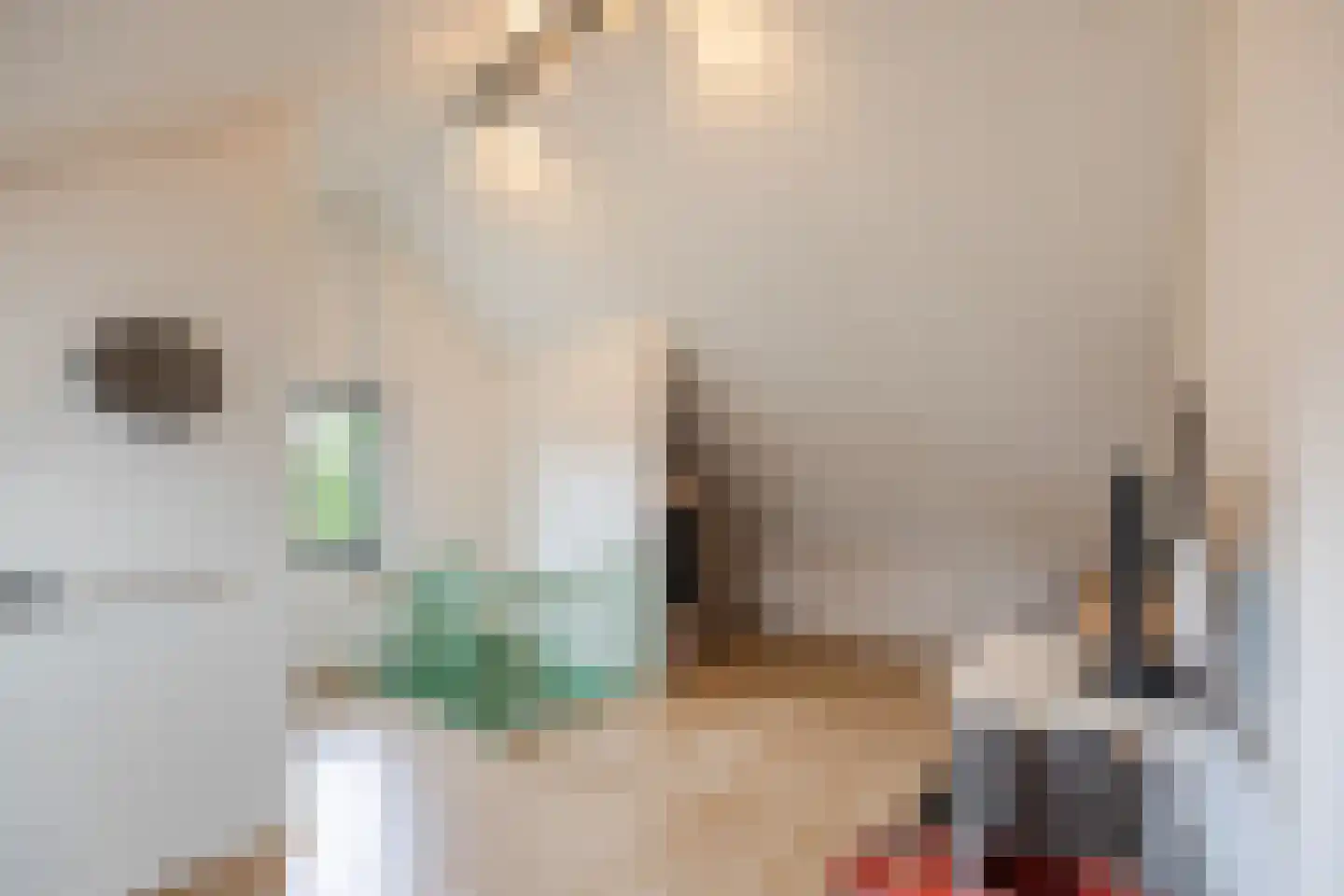 Isabella van Spanjestraat 3 Rijen thumbnail 54