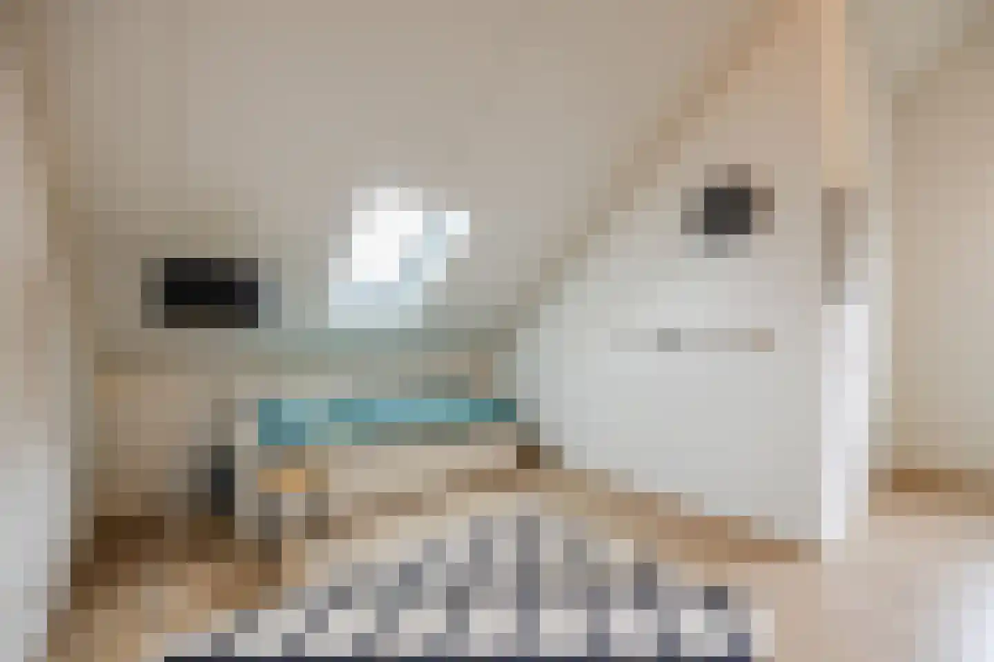 Isabella van Spanjestraat 3 Rijen thumbnail 56