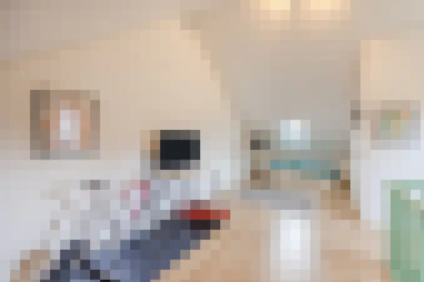 Isabella van Spanjestraat 3 Rijen thumbnail 58