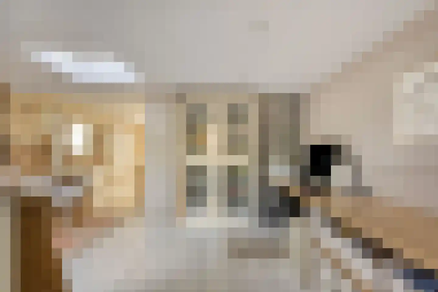 Isabelladonk 27 Roosendaal thumbnail 16