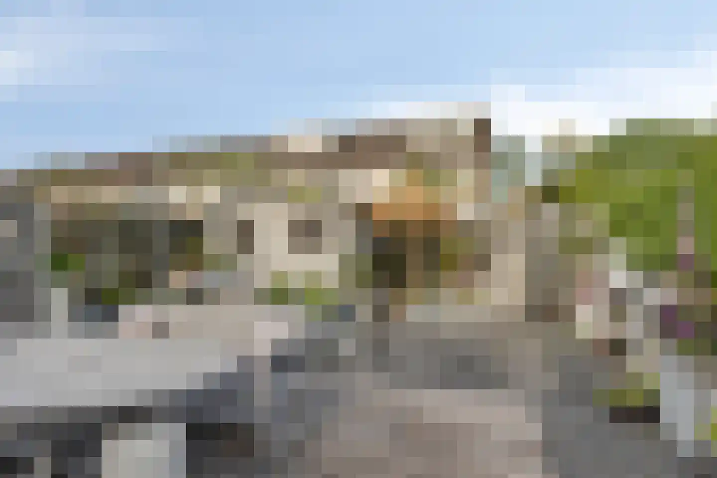 Isabelladonk 27 Roosendaal thumbnail 37