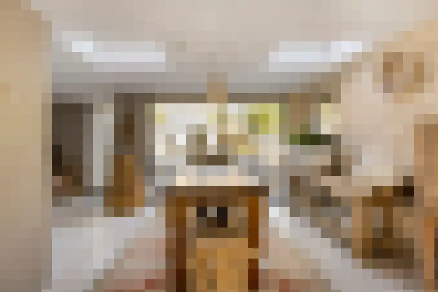 Isabelladonk 27 Roosendaal thumbnail 8