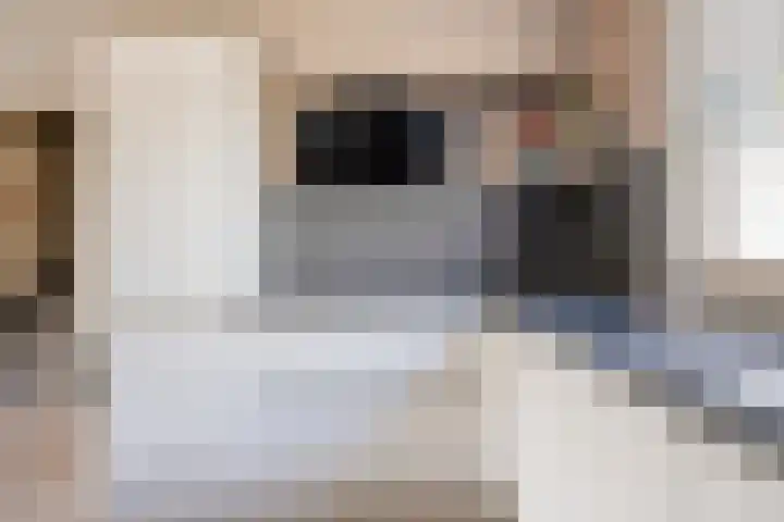 Isabelladonk 32 Roosendaal thumbnail 10