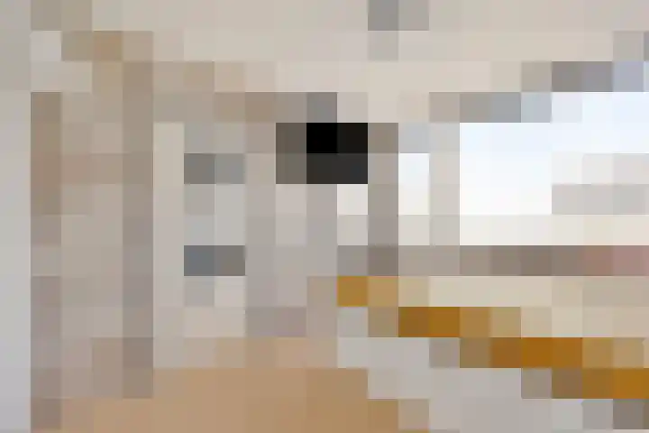 Isabelladonk 32 Roosendaal thumbnail 14