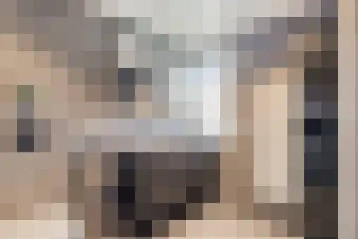 Isabelladonk 32 Roosendaal thumbnail 19