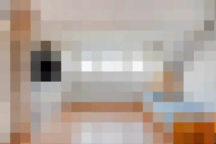 Isabelladonk 32 Roosendaal thumbnail 22