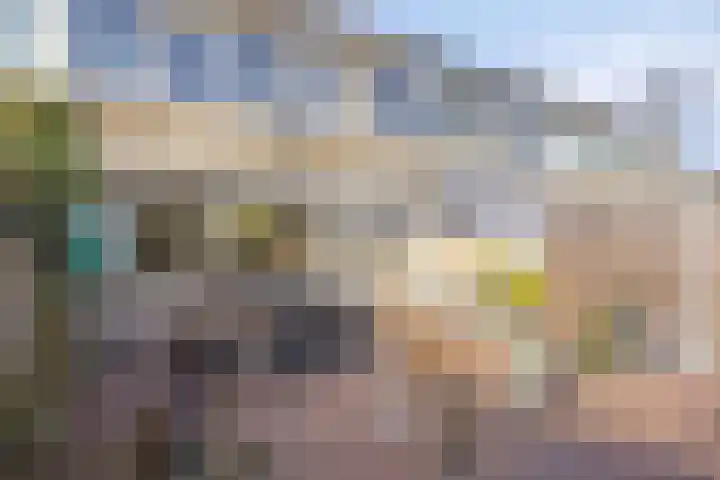 Isabelladonk 32 Roosendaal thumbnail 24