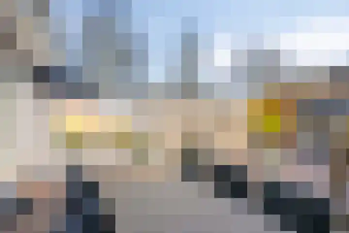 Isabelladonk 32 Roosendaal thumbnail 25