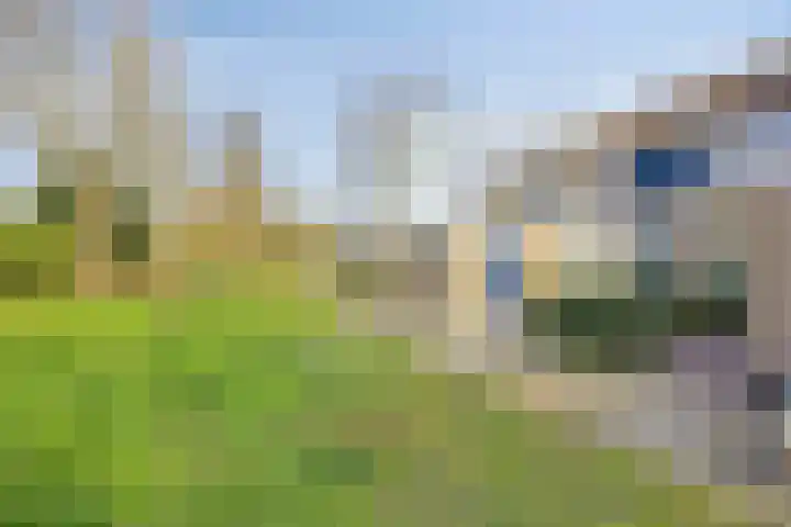 Isabelladonk 32 Roosendaal thumbnail 34