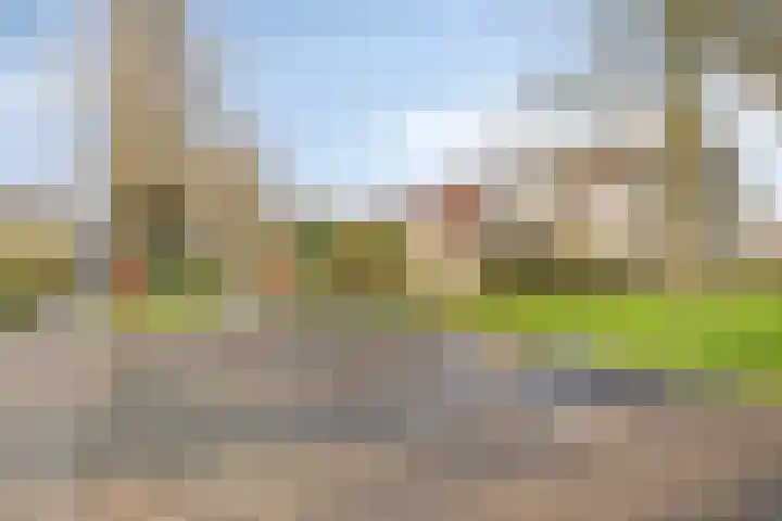 Isabelladonk 32 Roosendaal thumbnail 35