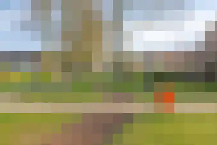 Isabelladonk 32 Roosendaal thumbnail 37