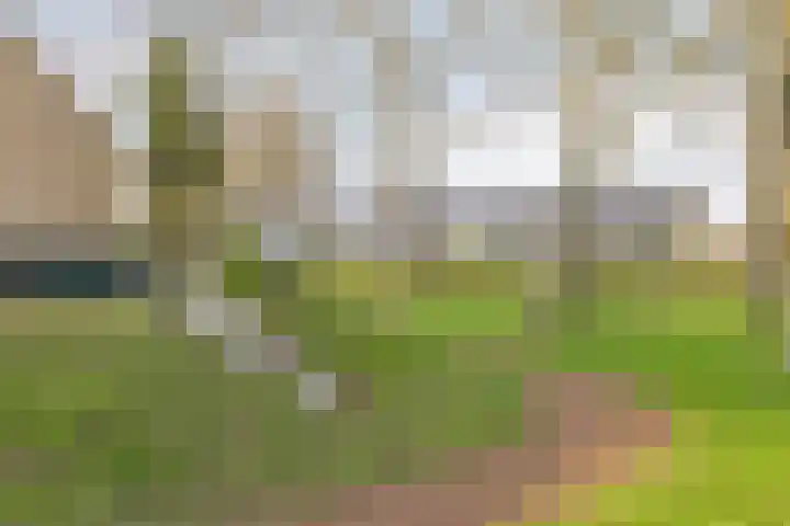 Isabelladonk 32 Roosendaal thumbnail 38