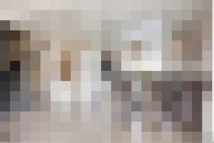 Isabelladonk 32 Roosendaal thumbnail 6