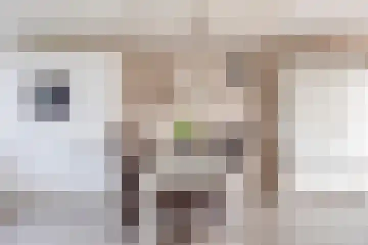 Isabelladonk 32 Roosendaal thumbnail 7