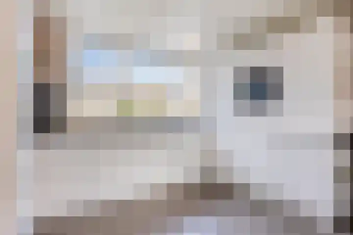 Isabelladonk 32 Roosendaal thumbnail 9