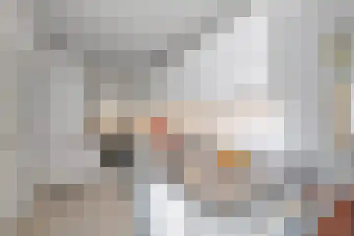Isabelladonk 40 Roosendaal thumbnail 14