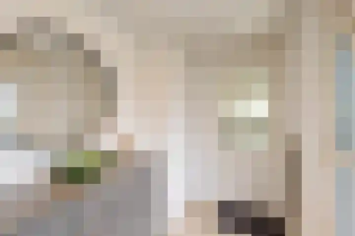 Isabelladonk 40 Roosendaal thumbnail 20