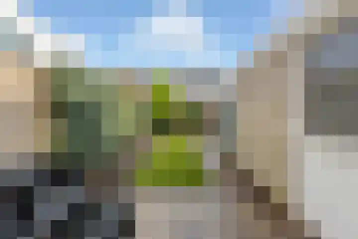 Isabelladonk 40 Roosendaal thumbnail 38