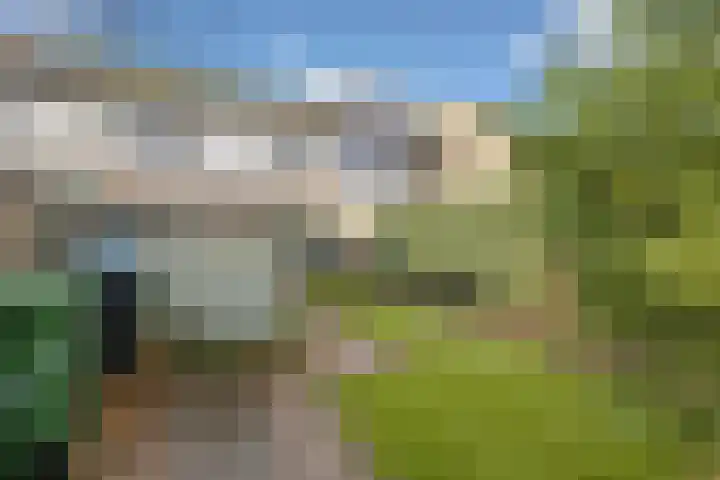 Isabelladonk 40 Roosendaal thumbnail 41