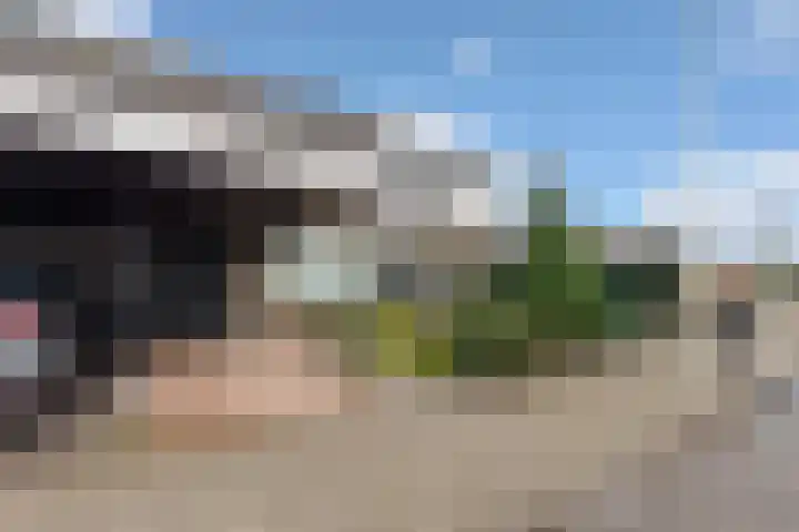 Isabelladonk 40 Roosendaal thumbnail 46