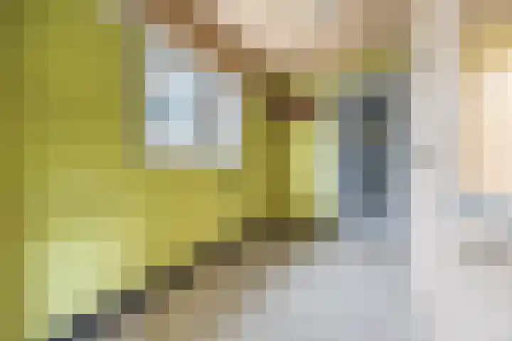 Isabellahaven 1 Philippine thumbnail 11