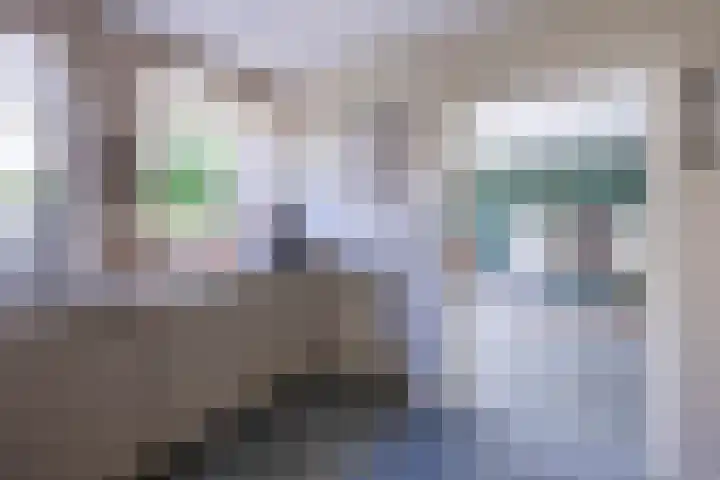 Isabellahof 14 Venray thumbnail 20