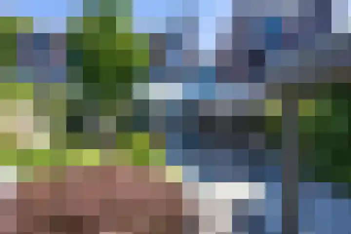 Isabellahof 14 Venray thumbnail 43