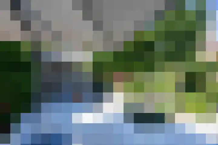 Isabellahof 14 Venray thumbnail 45