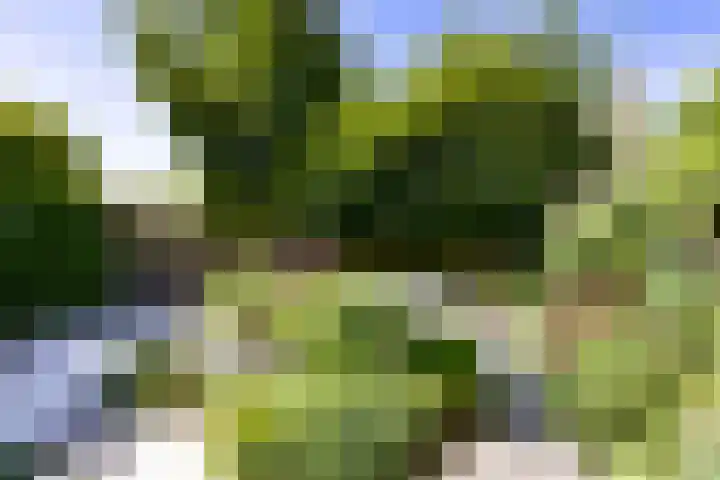 Isabellahof 14 Venray thumbnail 46