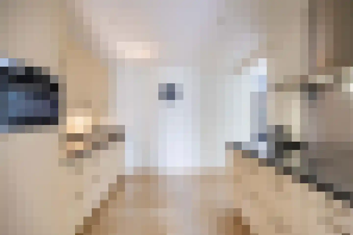 Isabellahof 29 Venray thumbnail 21