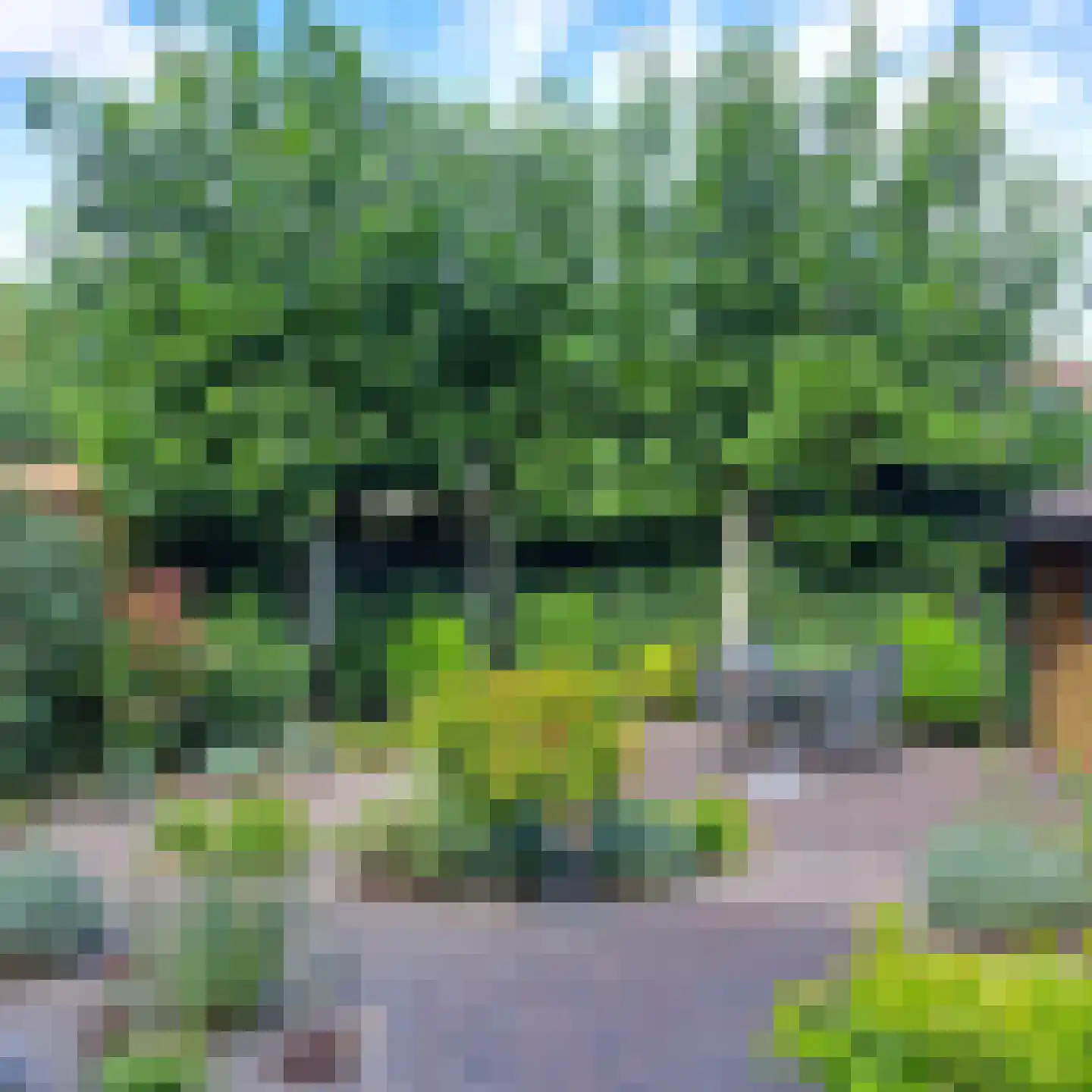 Isabellahof 29 Venray thumbnail 41