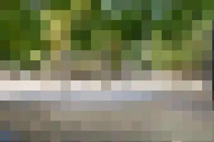 Isabellahof 48 A Venray thumbnail 35