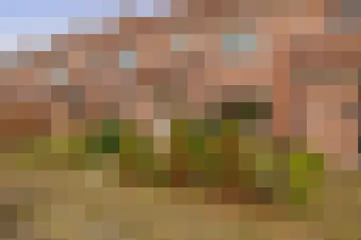 Isabellahof 51 Venray thumbnail 42