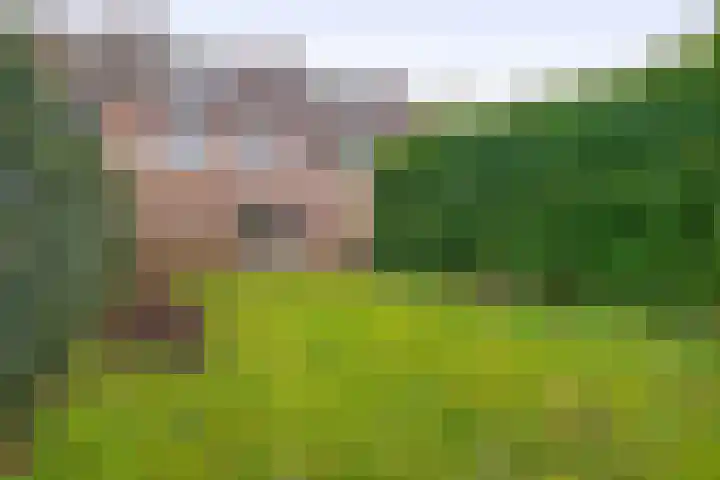 Isabellahof 51 Venray thumbnail 45