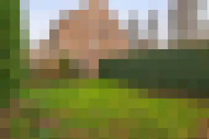 Isabellahof 51 Venray thumbnail 47
