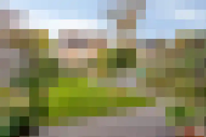 Isabellahof 61 Venray thumbnail 32