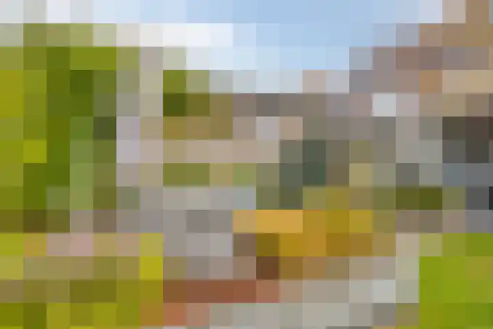 Isabellahof 61 Venray thumbnail 34
