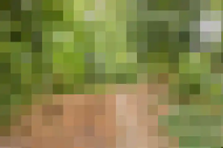 Isabellahof 61 Venray thumbnail 38