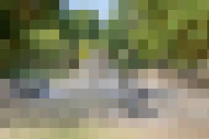 Isabellahof 61 Venray thumbnail 39