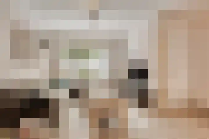 Isabellahof 61 Venray thumbnail 8